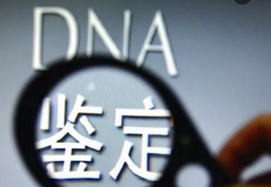 男孩做亲子鉴定后被遗弃幼儿园，这是怎么回事？