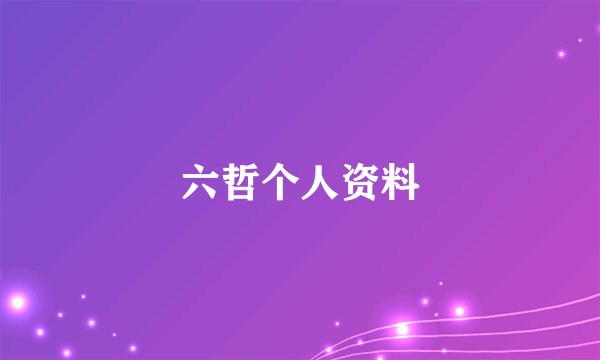 六哲个人资料