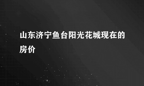 山东济宁鱼台阳光花城现在的房价