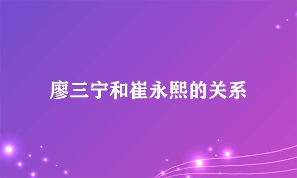 廖三宁和崔永熙的关系