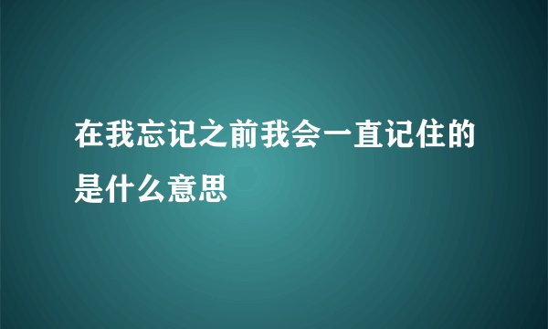 在我忘记之前我会一直记住的是什么意思