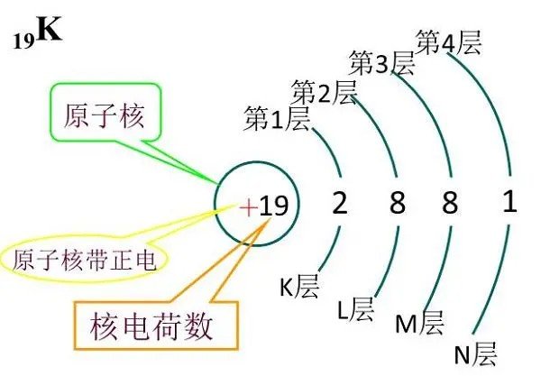 钒的核外电子排布式?