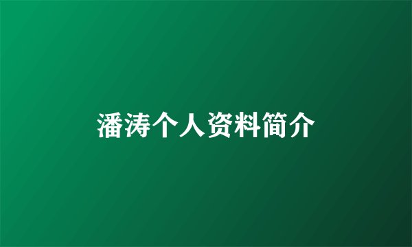 潘涛个人资料简介