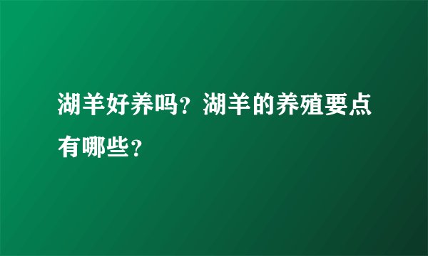 湖羊好养吗？湖羊的养殖要点有哪些？