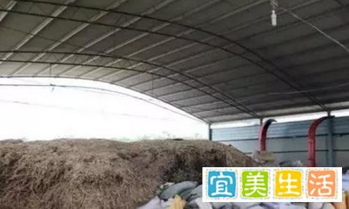 百头养牛场建设方案,养牛场赚钱必备,100头养牛场投资多少钱?