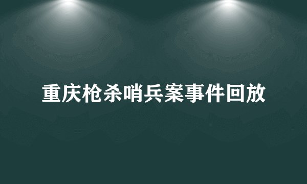 重庆枪杀哨兵案事件回放