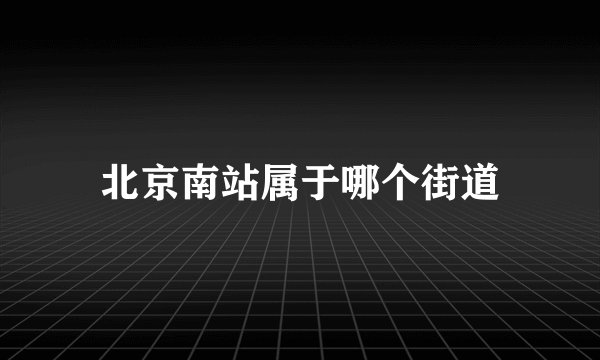 北京南站属于哪个街道
