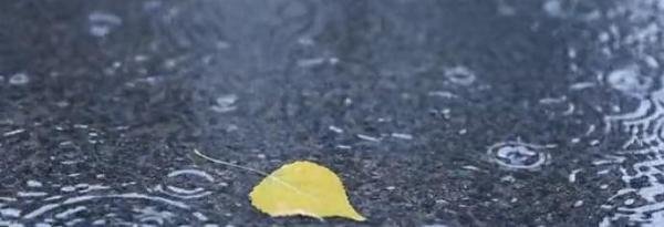“雨水无雨百日阴”雨水节气下雨是好事还是坏事