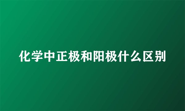 化学中正极和阳极什么区别