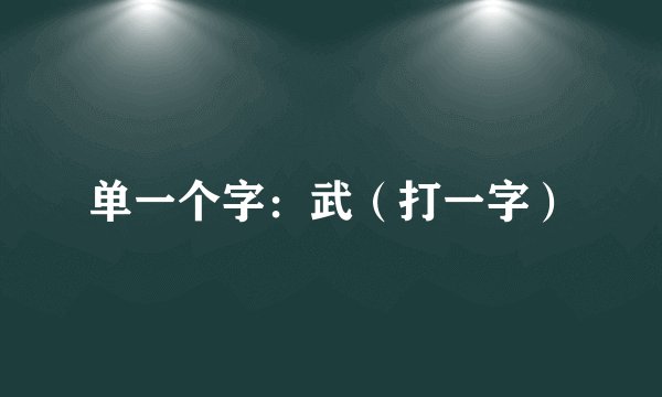 单一个字：武（打一字）