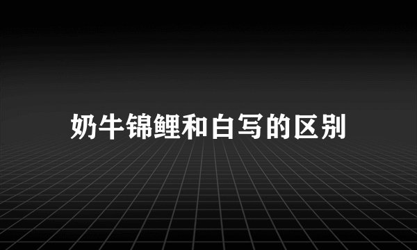 奶牛锦鲤和白写的区别