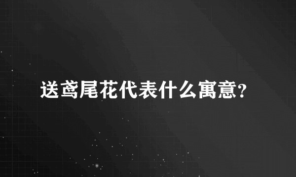 送鸢尾花代表什么寓意？