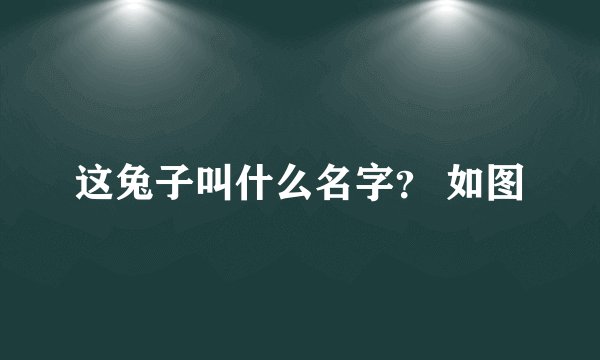 这兔子叫什么名字？ 如图