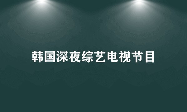 韩国深夜综艺电视节目