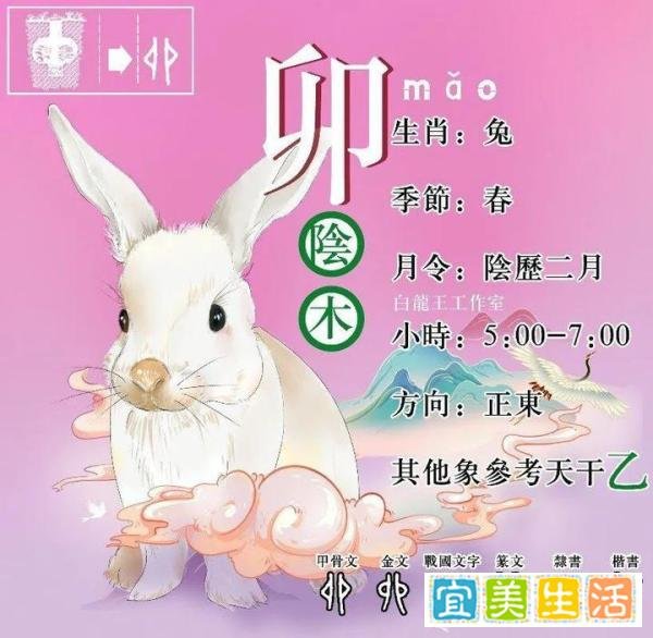 卯月-兔月性格特点,隐藏的真实面!
