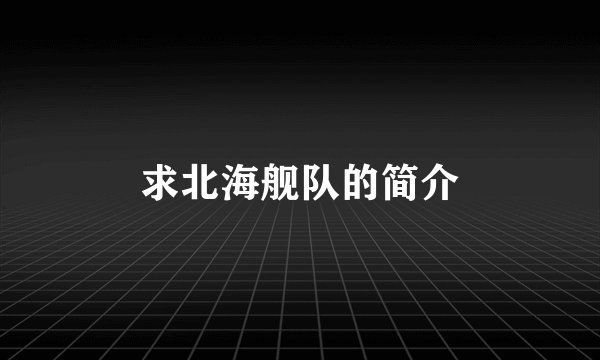 求北海舰队的简介
