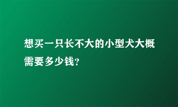 想买一只长不大的小型犬大概需要多少钱？