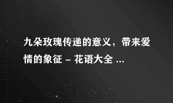 九朵玫瑰传递的意义，带来爱情的象征 - 花语大全 - 盆栽百科网