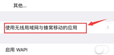 苹果手机如何设置移动数据网络