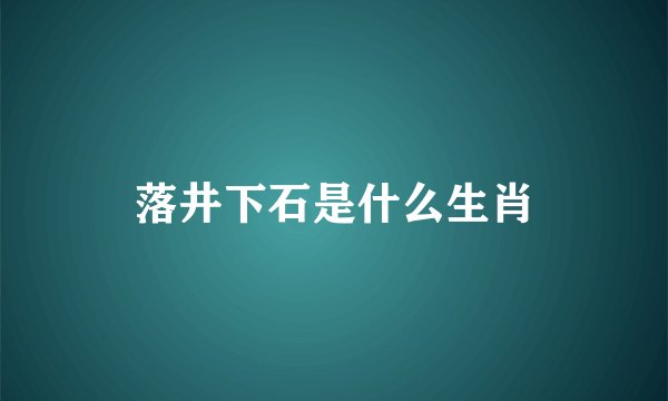 落井下石是什么生肖