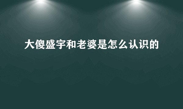 大傻盛宇和老婆是怎么认识的