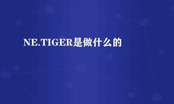 NE.TIGER是做什么的