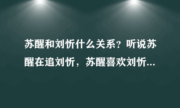 苏醒和刘忻什么关系？听说苏醒在追刘忻，苏醒喜欢刘忻吗？我希望他俩在一块~~