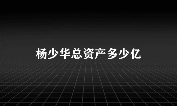 杨少华总资产多少亿
