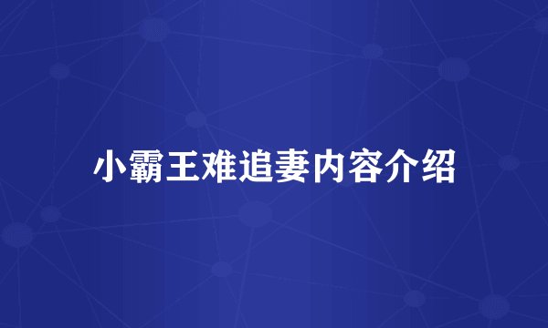 小霸王难追妻内容介绍