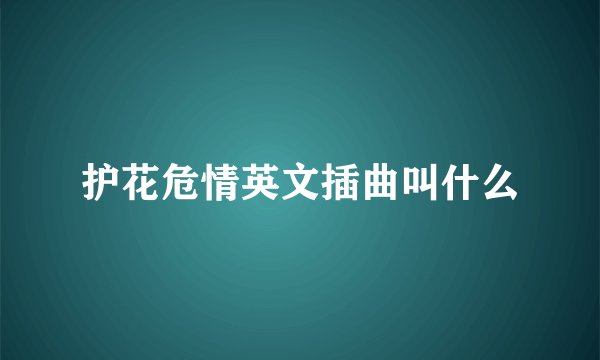 护花危情英文插曲叫什么