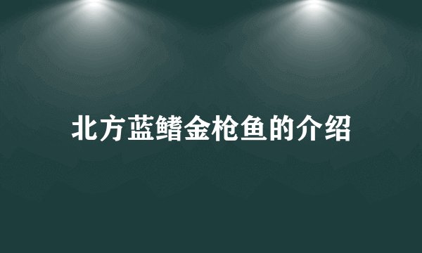 北方蓝鳍金枪鱼的介绍
