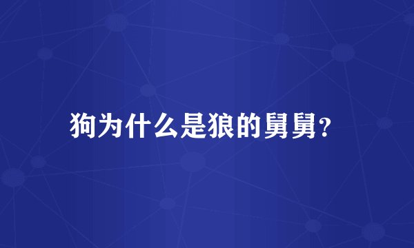 狗为什么是狼的舅舅？