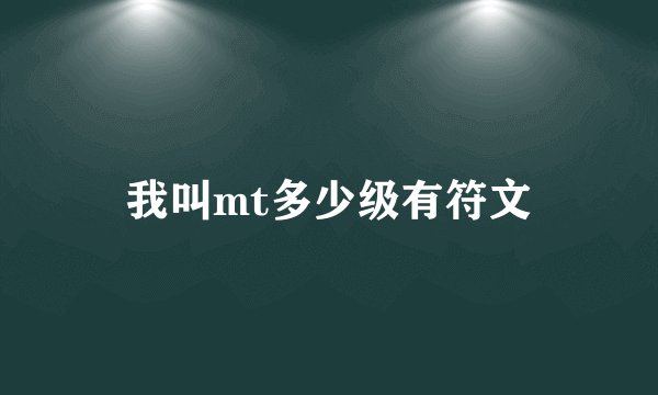 我叫mt多少级有符文