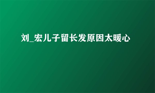 刘_宏儿子留长发原因太暖心