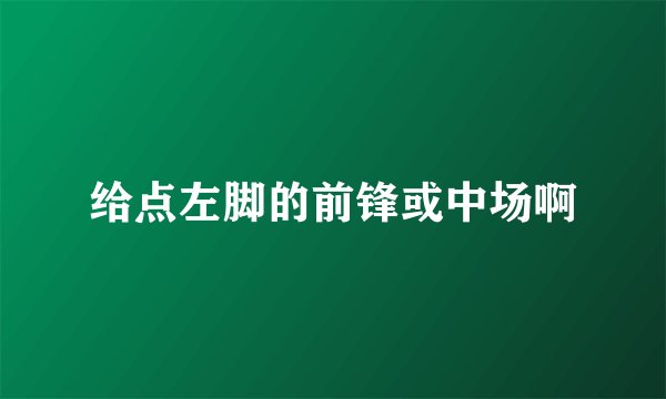 给点左脚的前锋或中场啊