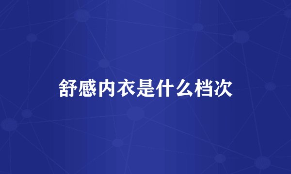 舒感内衣是什么档次