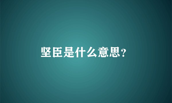 坚臣是什么意思？