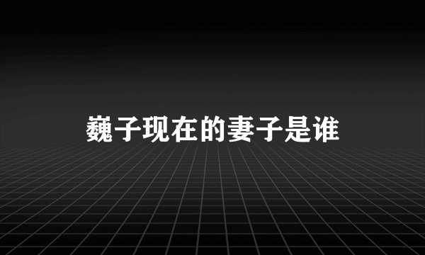 巍子现在的妻子是谁