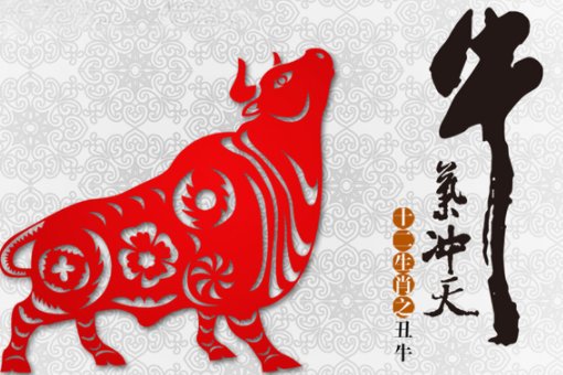 非亲非故是什么生肖