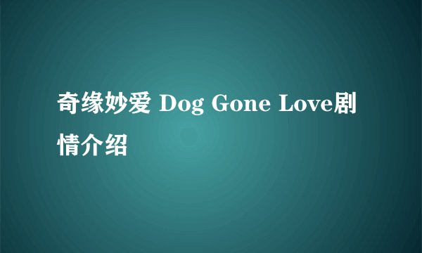 奇缘妙爱 Dog Gone Love剧情介绍