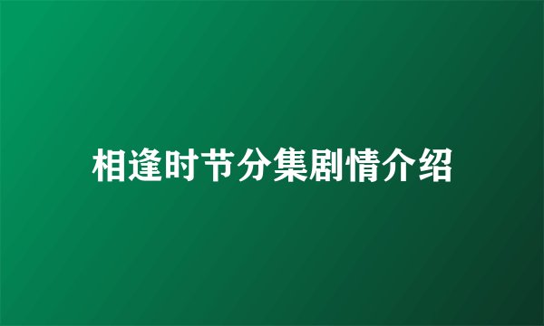 相逢时节分集剧情介绍