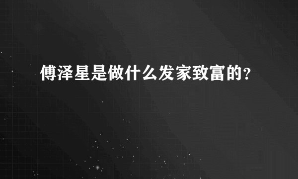 傅泽星是做什么发家致富的？