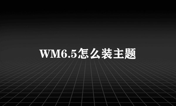WM6.5怎么装主题