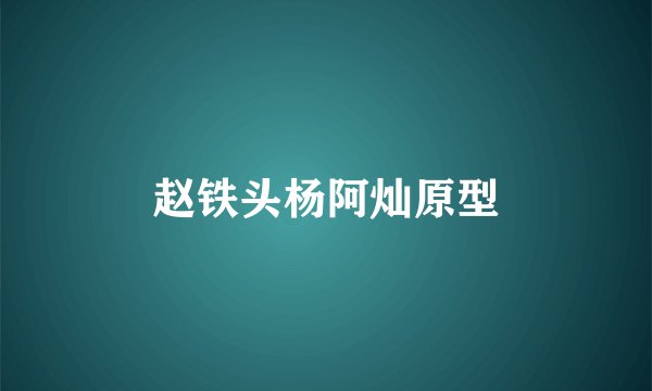 赵铁头杨阿灿原型