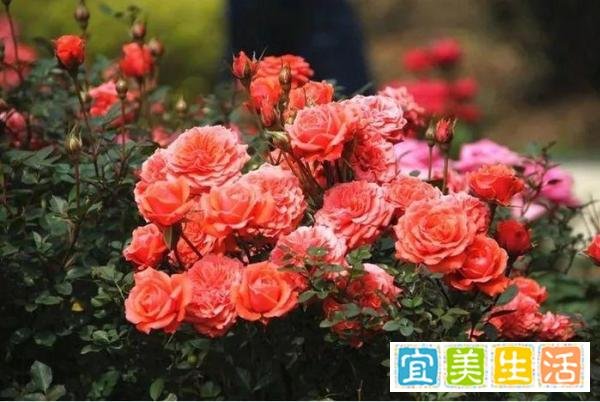 上海团建|30个团建地点推荐秘?必收藏，团建攻略