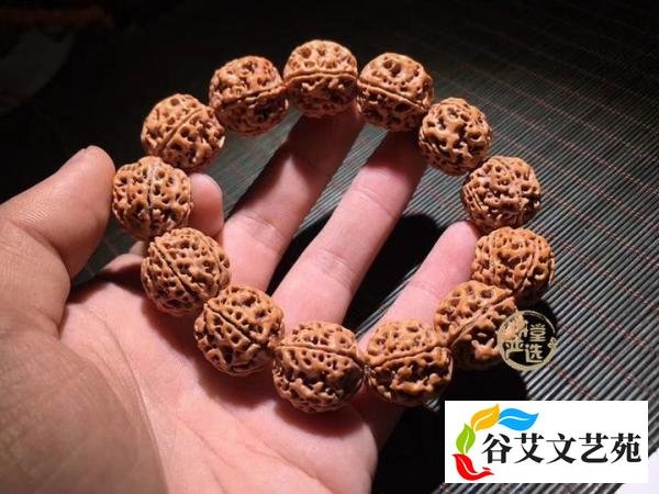 最完整的金刚菩提子价格参照