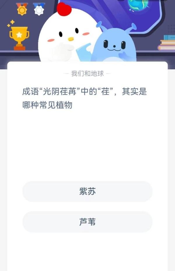 成语“光阴荏苒”中的“荏”是哪种常见植物？