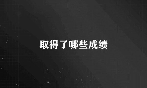 取得了哪些成绩