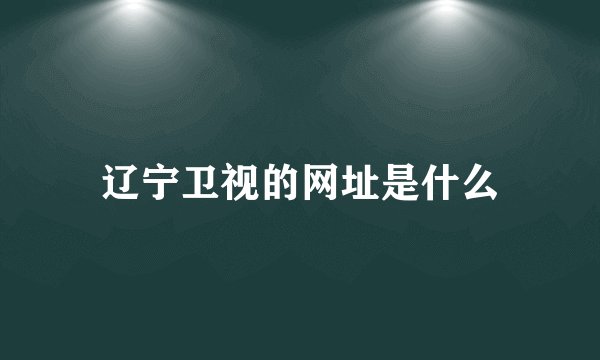 辽宁卫视的网址是什么