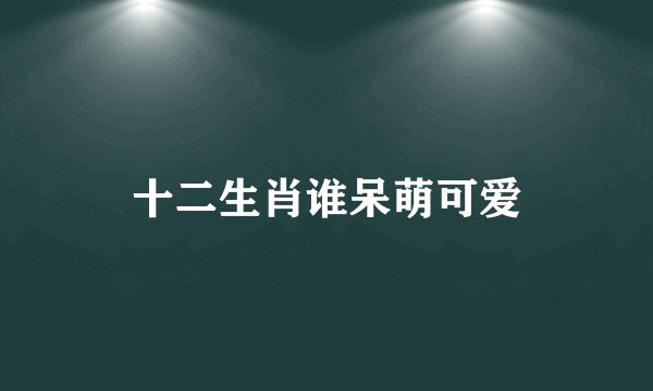 十二生肖谁呆萌可爱